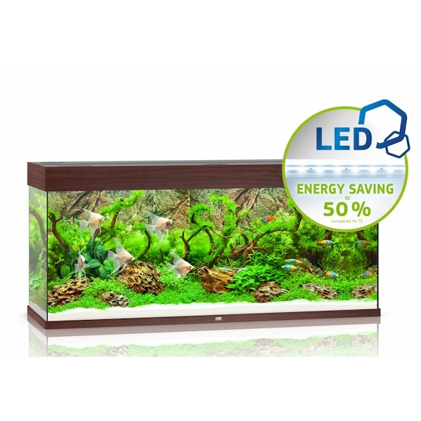 Juwel Rio 240 Led Aquarium Dark Wood The WaterZoo Tropical fish